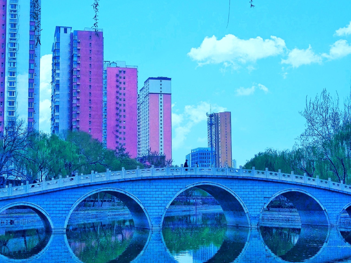 桥一组20213拍摄于保定龙潭公园