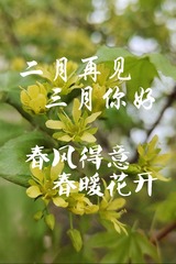 1000042647