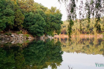未名湖-3093
