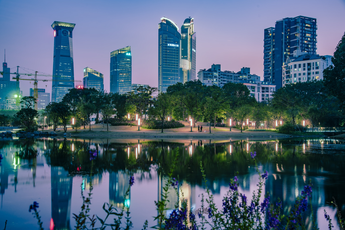 香蜜公园夜景