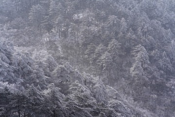 0CF138AC-3689-4181-8119-C9EE81666BC1/L0/001