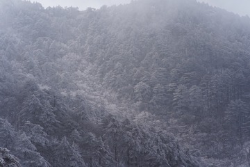 D08C4AB4-B0E2-4E19-9901-552A0D906F61/L0/001