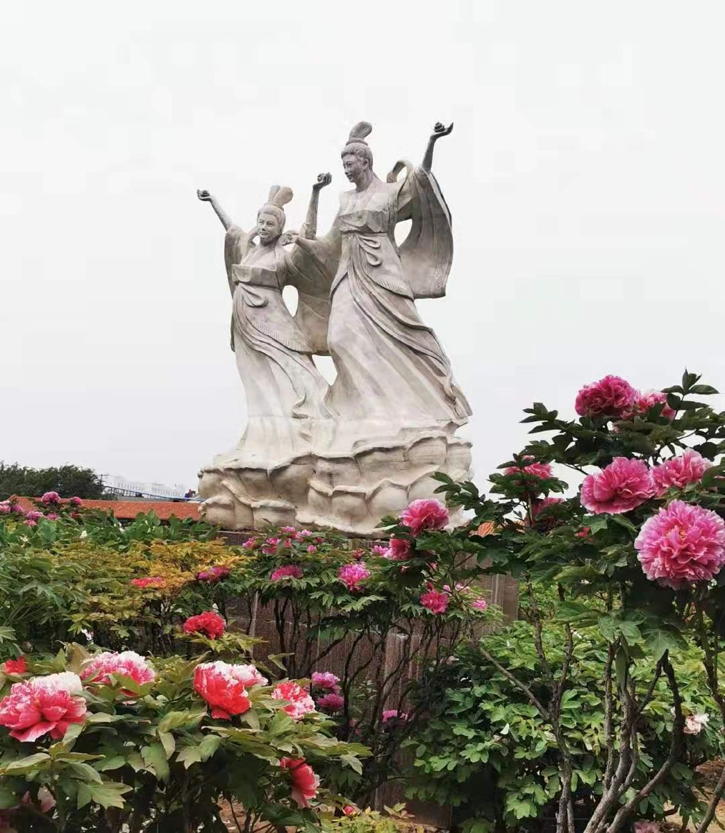 曹州牡丹甲天下花蕊不一般