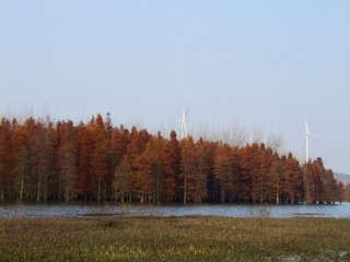 Optional("7E8F243C-515C-4DDF-8D8C-7EF023AB810B/L0/001")