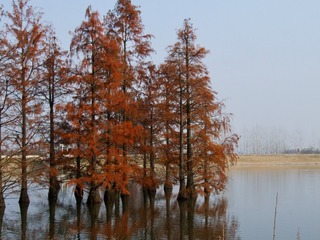 Optional("37777CCC-2787-46E2-85CE-39BE14F14150/L0/001")