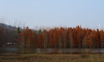 Optional("290E0101-358C-4369-B588-8B0FEE380ADA/L0/001")