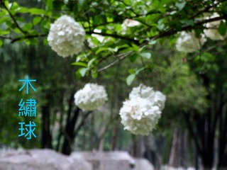 BC52E7C0-F0E8-4C4D-811C-CA339F724EA7/L0/001