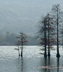 Optional("2F1AB763-F798-45F3-9021-F94B008D1993/L0/001")