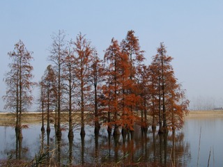 Optional("070D340E-0422-4D7B-9F2A-C1FC67C886B2/L0/001")