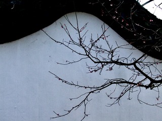 31A7358D-07A8-4C2C-A4B3-50101B773626/L0/001