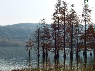Optional("CA7B384B-5EDD-41CF-82CC-0D20F8B60BE6/L0/001")