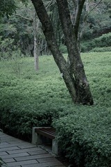 C8BF2832-42EF-4CA7-A046-DFF6831D4940/L0/001