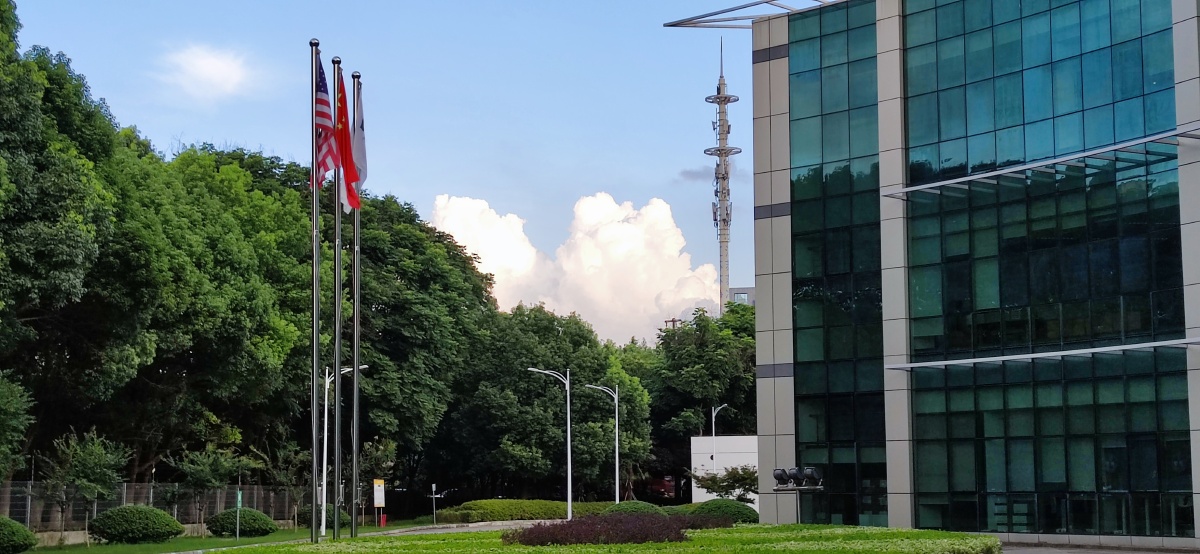 公司窗外好云78朵