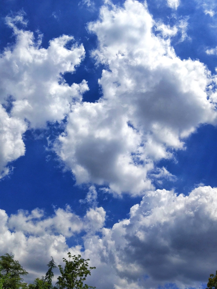 这样舒适的天气真好!