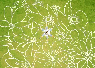 DJI_0092