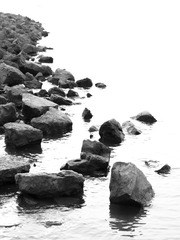90DA9032-65C0-4013-8FAD-32B381074B8B/L0/001