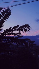EC47395C-8544-485D-B86B-1E55F419909E/L0/001