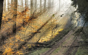 2010011702271884