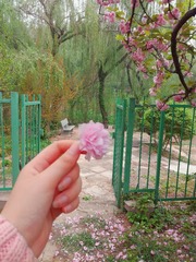 IMG_20170416_132323