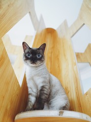 1200903