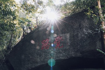 1082826