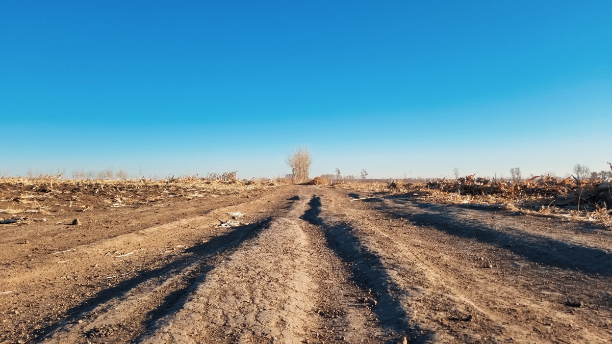 黑色的土地荒芜的景色