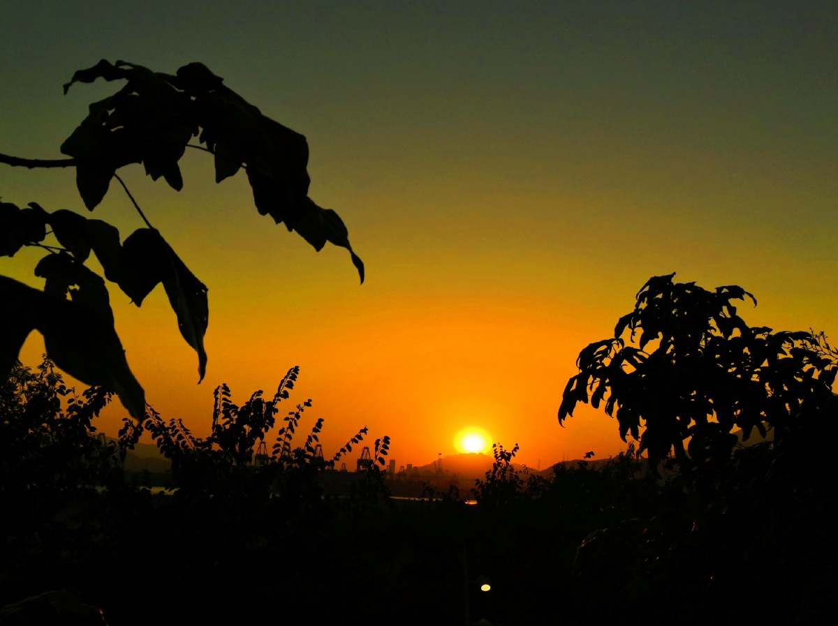 冬日暖阳冬日的阳光是温暖的