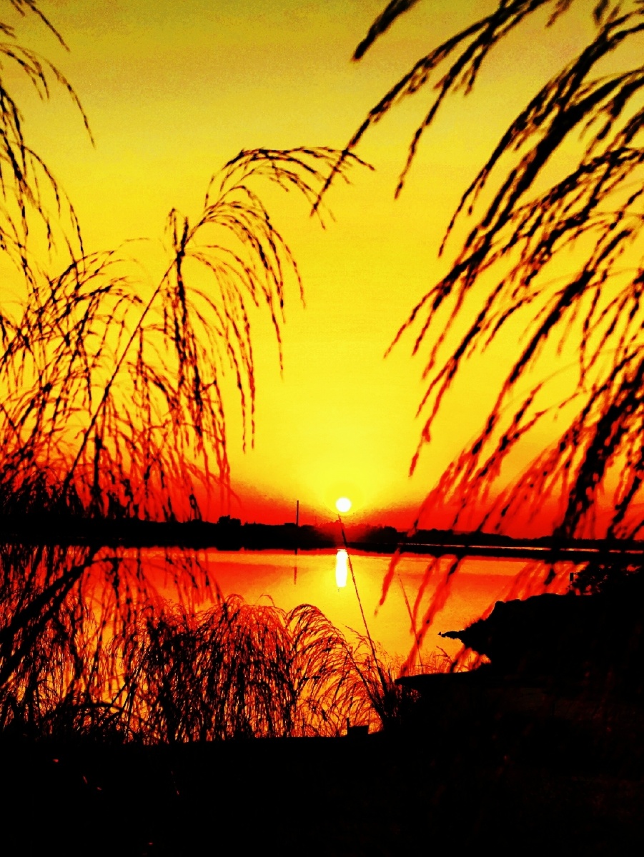 暖冬冬日的阳光明媚让人感到温暖