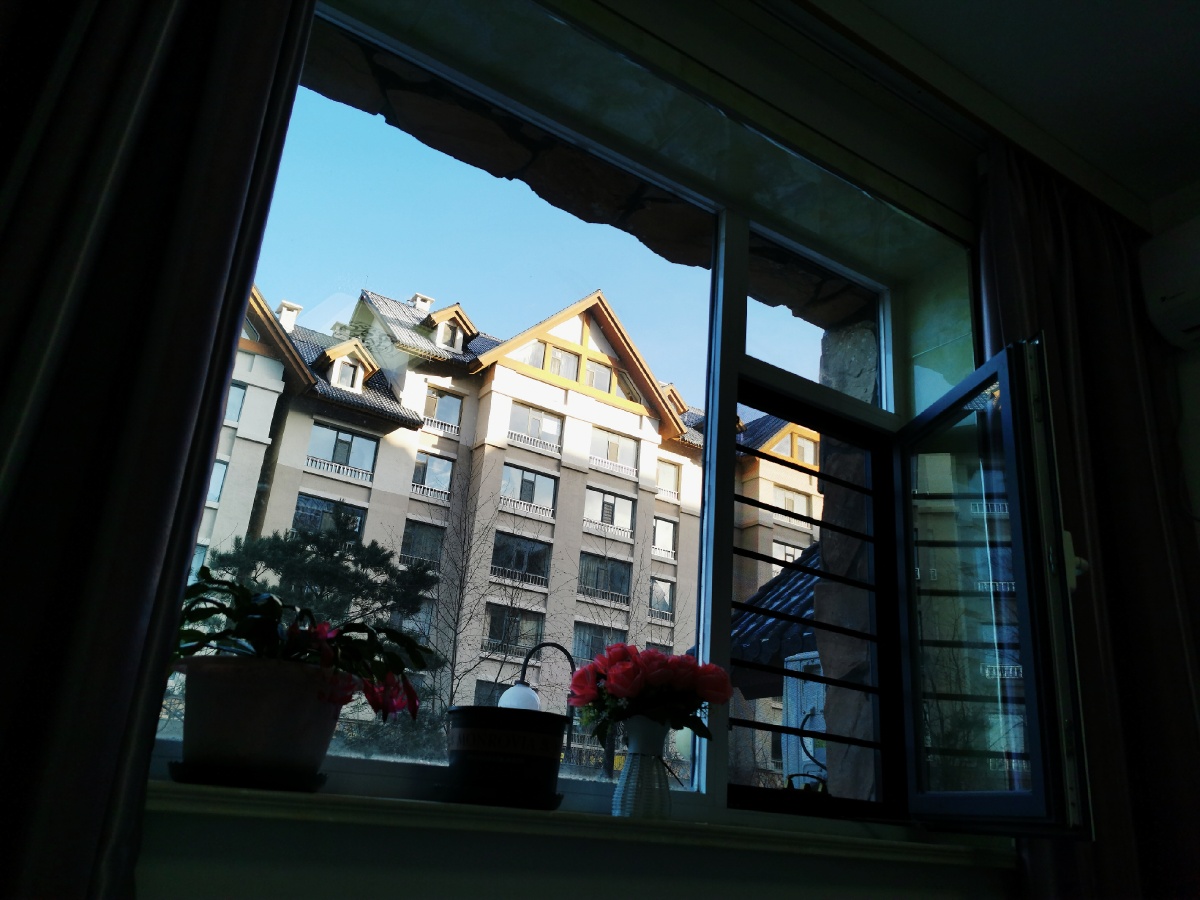 窗外的世界清晨窗外的世界格外美