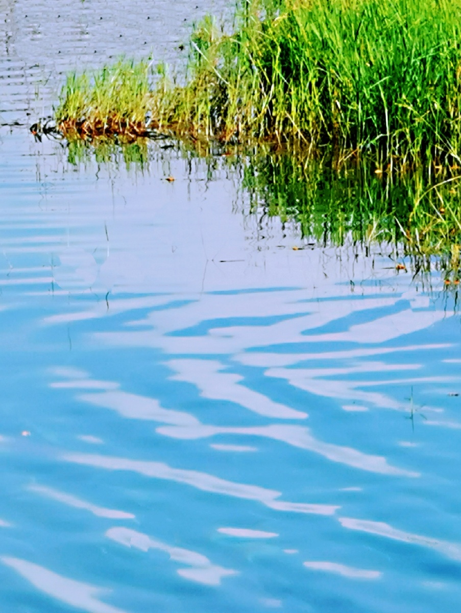 水的柔美好心湖水流动着柔和欢快的声音