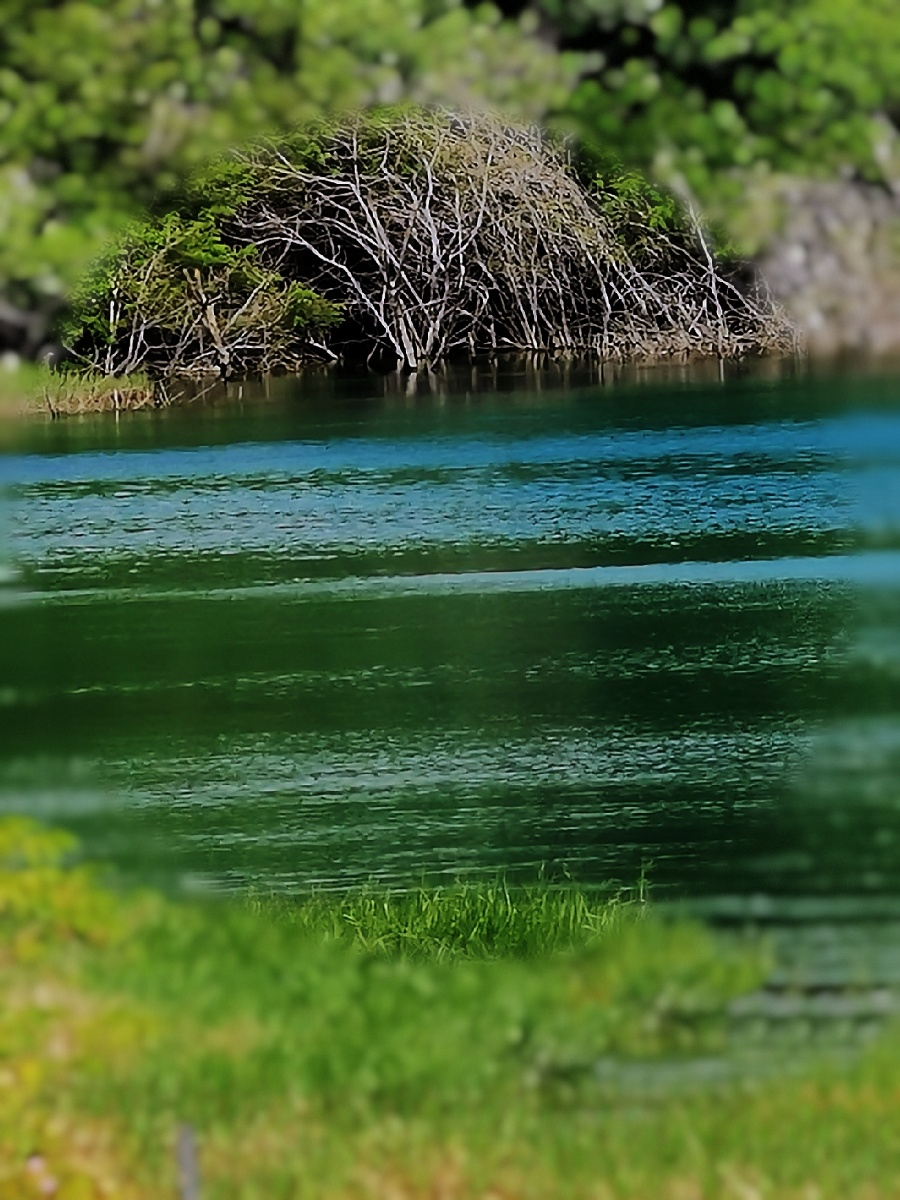 一潭湖水一潭湖水水光潋滟