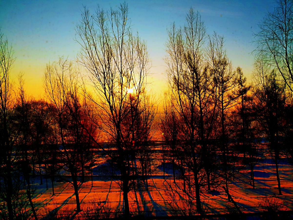 暖冬冬日的阳光显得特别温暖