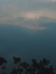 0D109F9E-55BD-42F3-AD70-E74560CE6356/L0/001