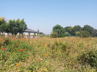 788161