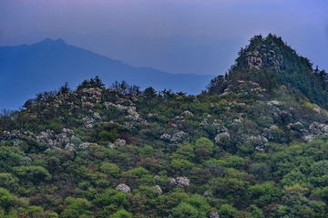 _DSC8632