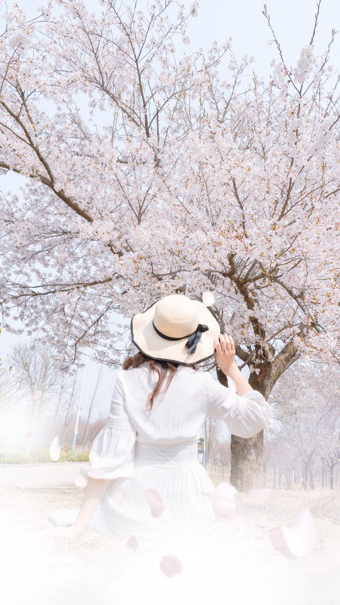樱花树下的唯美