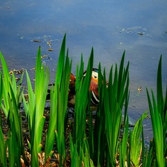 _DSC1169
