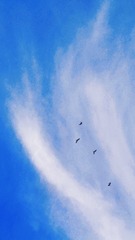 7740C76C-D090-4A77-A7B0-0D957B39C47C/L0/001