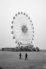 23091