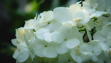 0E596D24-84C6-4CF6-BD6B-8D08ECA45376/L0/001