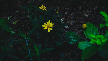 14A705E0-D8B5-48AD-8962-B65F2AD55DBC/L0/001