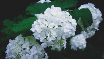 6EB4DF8C-6E86-49AD-9735-D84CC029DDF3/L0/001