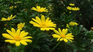46FB8C61-08E9-42FC-8FB5-F85362755B65/L0/001
