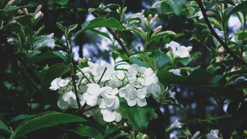 228CE4BD-2211-4C3B-BC8F-785F5886263A/L0/001