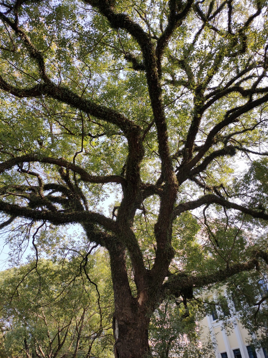 桑榆伴暖 - 图虫