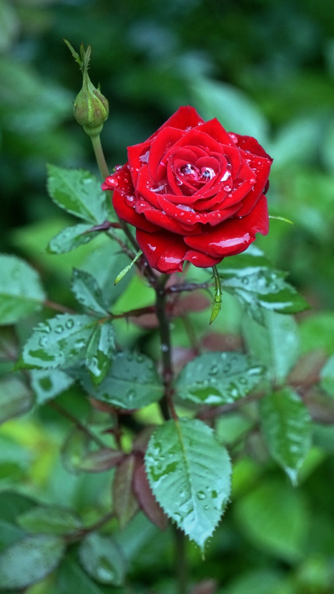 雨天的景色也迷人