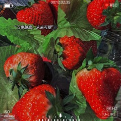 861B3E9F-B798-4F6F-B6C6-D0870AF05FD7/L0/001