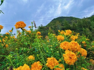 B6E825D0-1BB5-4B2E-B7CE-8EA13139D39C/L0/001