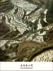 guizhou_15
