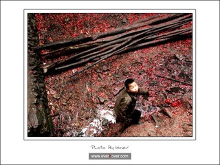 guizhou_07
